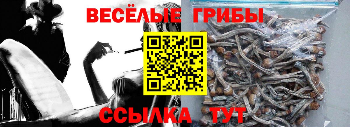 Галлюциногенные грибы Cubensis Кириши