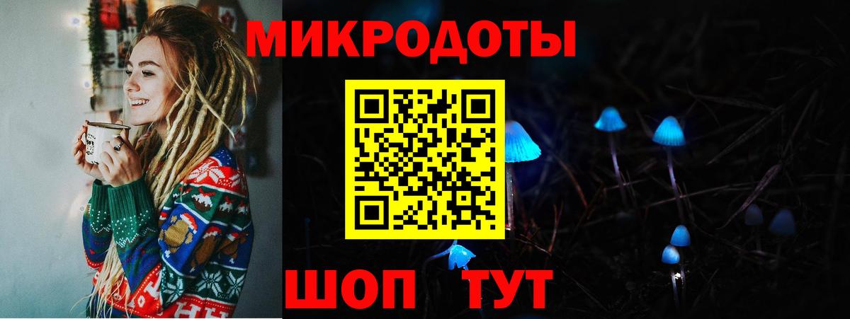 Кириши  Галлюциногенные грибы MAGIC MUSHROOMS  где продают   Вход с VPN 